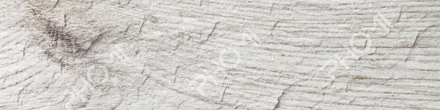 Petrified Wood Series